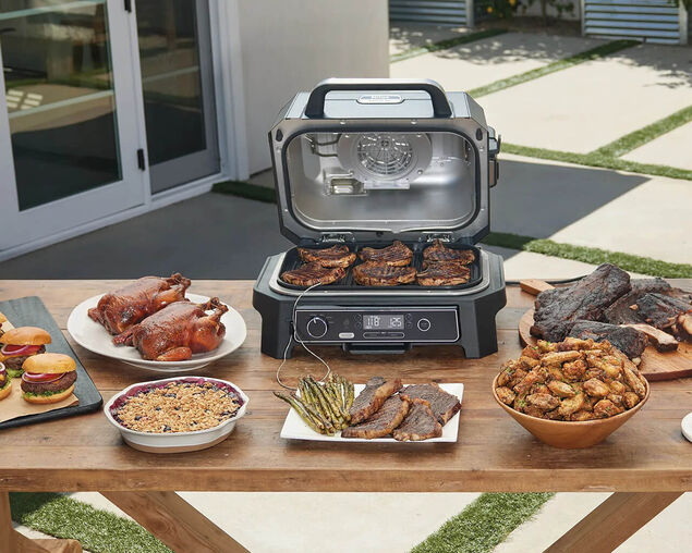 Ninja Woodfire Rotisserie Kit