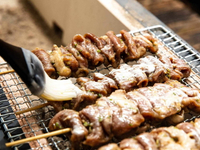 //imrorwxhlnqllp5p.ldycdn.com/cloud/lmBprKrnlqSRiljipnirjn/How-Do-You-Choose-A-Commercial-BBQ-Skewer-Grill-for-Your-Restaurant.jpg