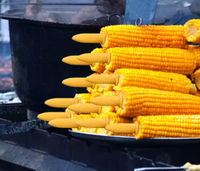 //imrorwxhlnqllp5p.ldycdn.com/cloud/lqBprKrnlqSRilpkkmpljq/Do-You-Need-A-Corn-Cob-Holder-for-Crack.jpg