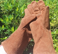 //imrorwxhlnqllp5p.ldycdn.com/cloud/lrBprKrnlqSRrlklpiqojq/How-To-Clean-Suede-BBQ-Gloves.jpg